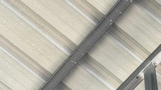 จุดน้ำค้างบนหลังคาเมทัลชีท สาเหตุของน้ำหยดที่หลายคนเข้าใจผิดว่าเป็นหลังคารั่ว