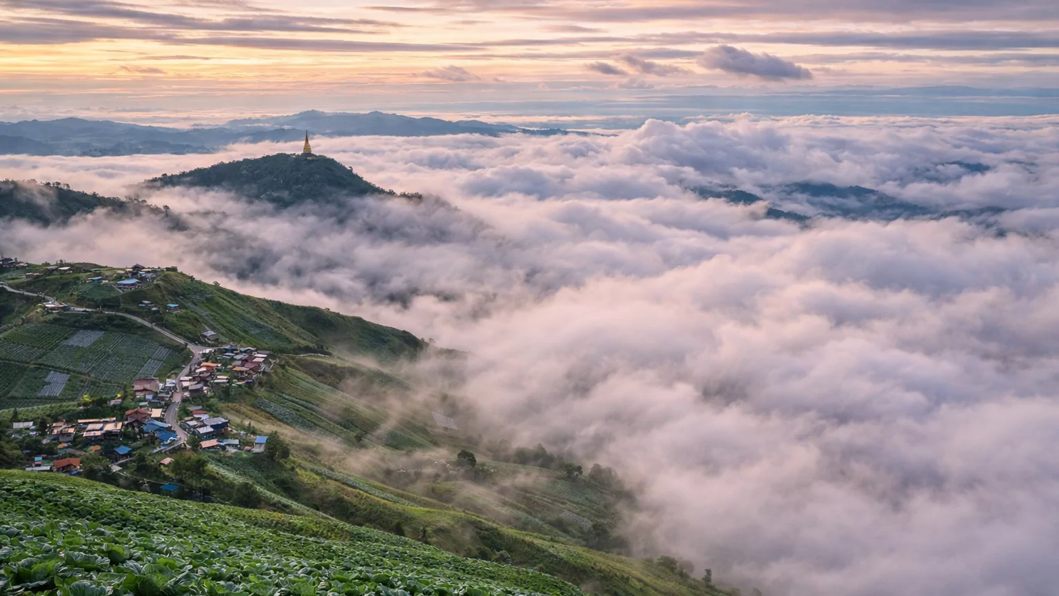 ภูทับเบิก เมื่อสายหมอกพัดพาเรื่องเล่าจากยอดดอย