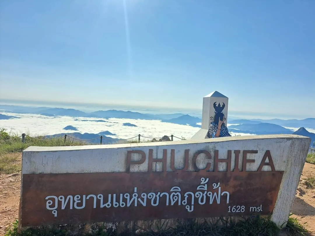 จุดเด่นของภูชี้ฟ้าและเสน่ห์ของทะเลหมอก