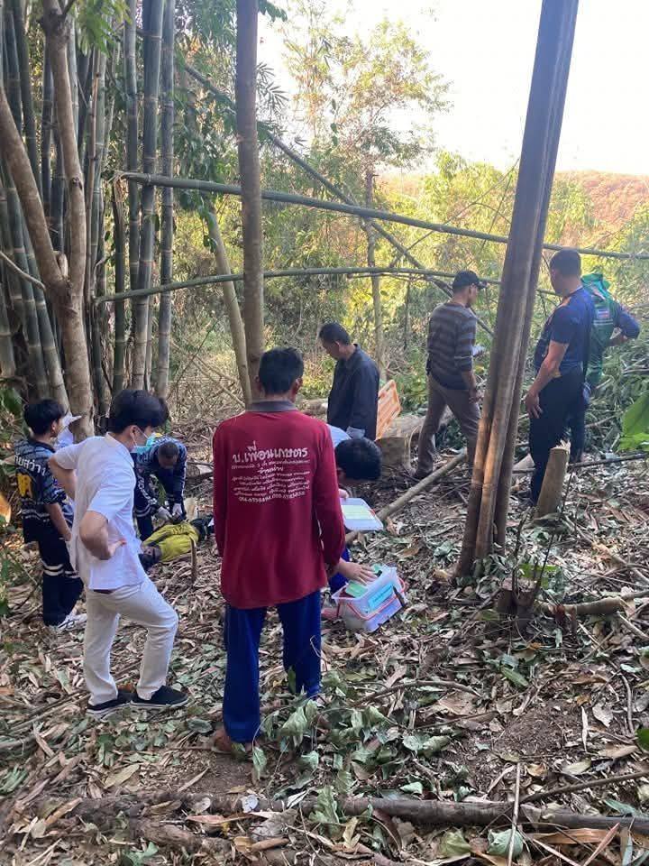 อุบัติเหตุต้นไม้ล้มทับชายสูงอายุเสียชีวิตที่ อ.ภูหลวง จ.เลย